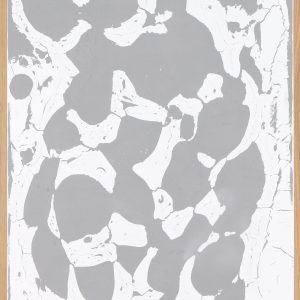 johan soderstrom, medium, filler, oak frame, conceptual, 2020